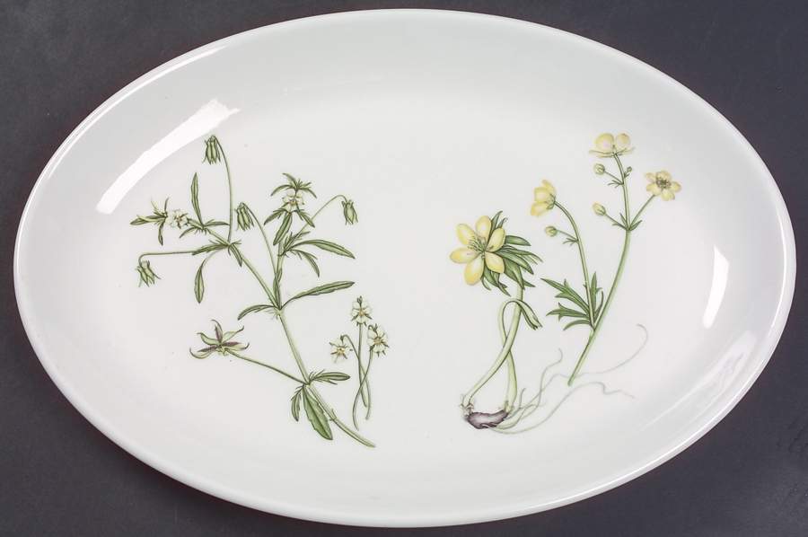 The Queen's Hidden Garden 10" Oval Steak Platter by Portmeirion-1