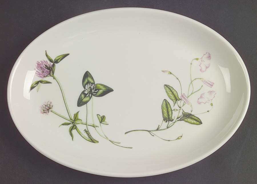 The Queen's Hidden Garden 10" Oval Steak Platter by Portmeirion-1