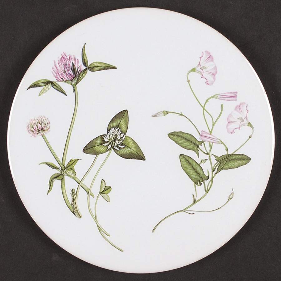 The Queen's Hidden Garden Tea Tile by Portmeirion-1