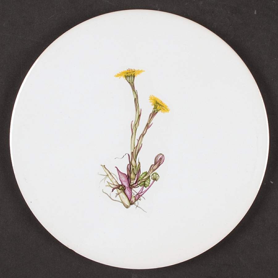 The Queen's Hidden Garden Tea Tile by Portmeirion-1