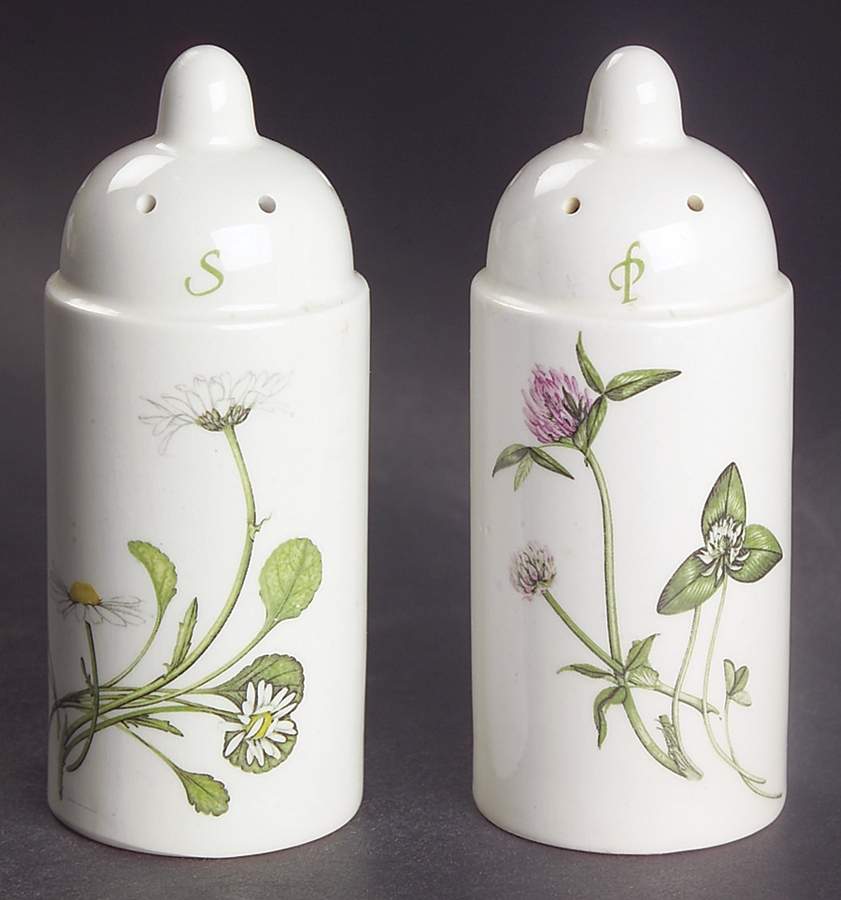 The Queen's Hidden Garden Salt & Pepper Set by Portmeirion-1