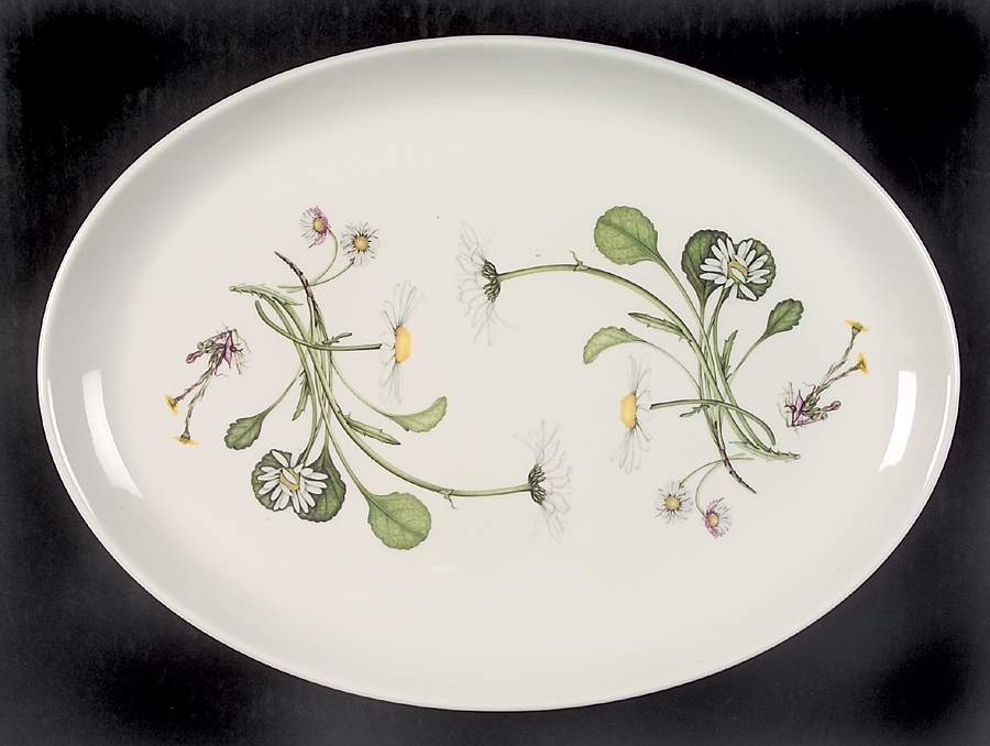 The Queen's Hidden Garden 14" Oval Steak Platter by Portmeirion-1