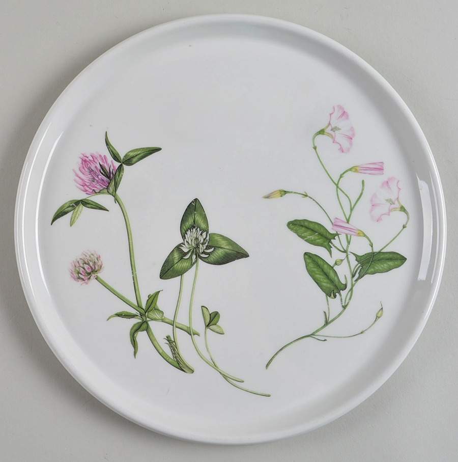 The Queen's Hidden Garden Pizza Plate by Portmeirion-1