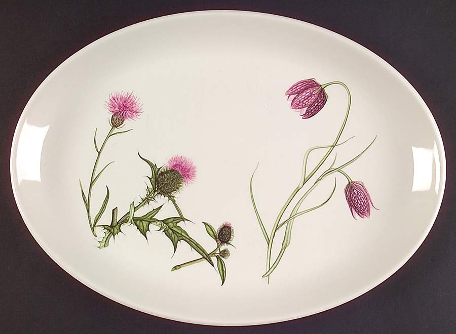 The Queen's Hidden Garden 12" Oval Steak Platter by Portmeirion-1
