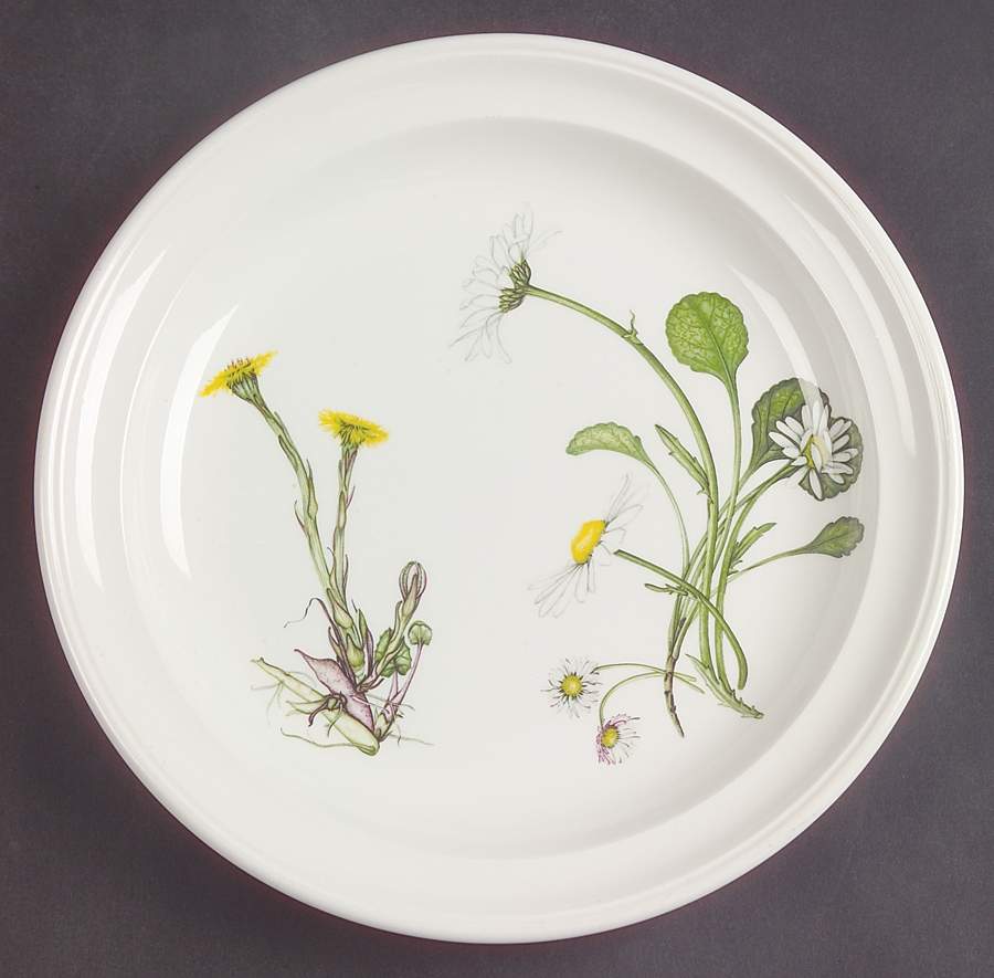 The Queen's Hidden Garden Salad Plate by Portmeirion-1