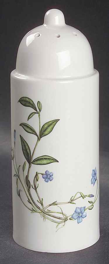 The Queen's Hidden Garden Sugar Shaker by Portmeirion-1