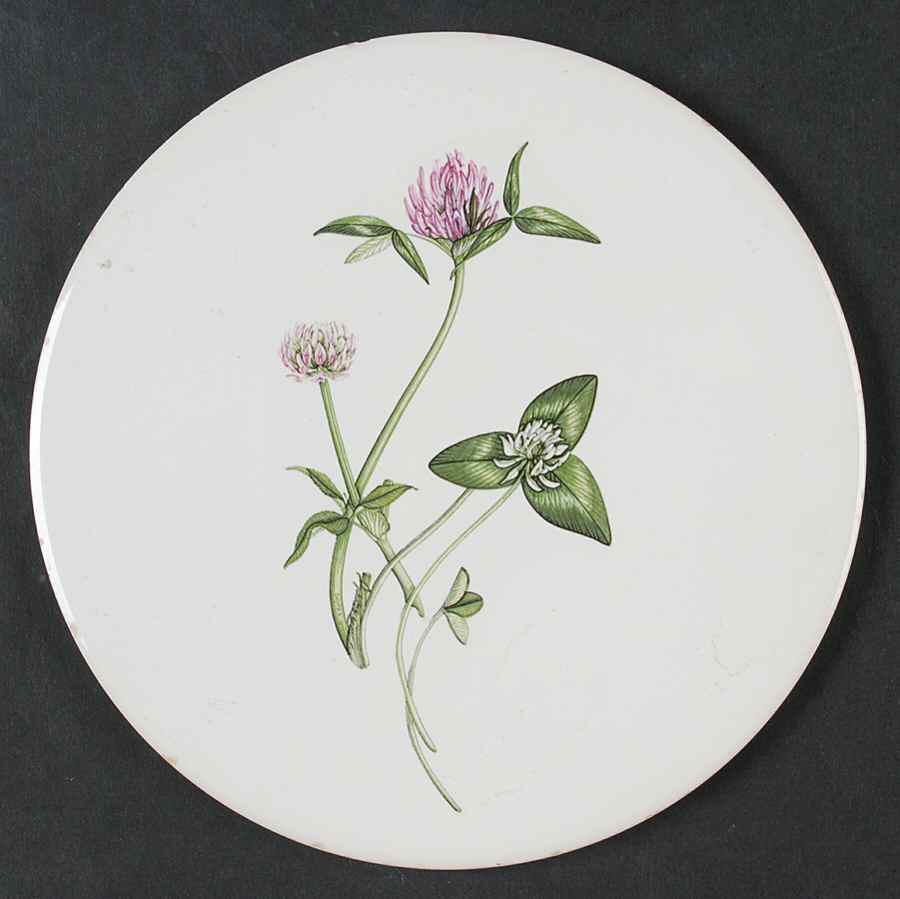 The Queen's Hidden Garden Tea Tile by Portmeirion-1