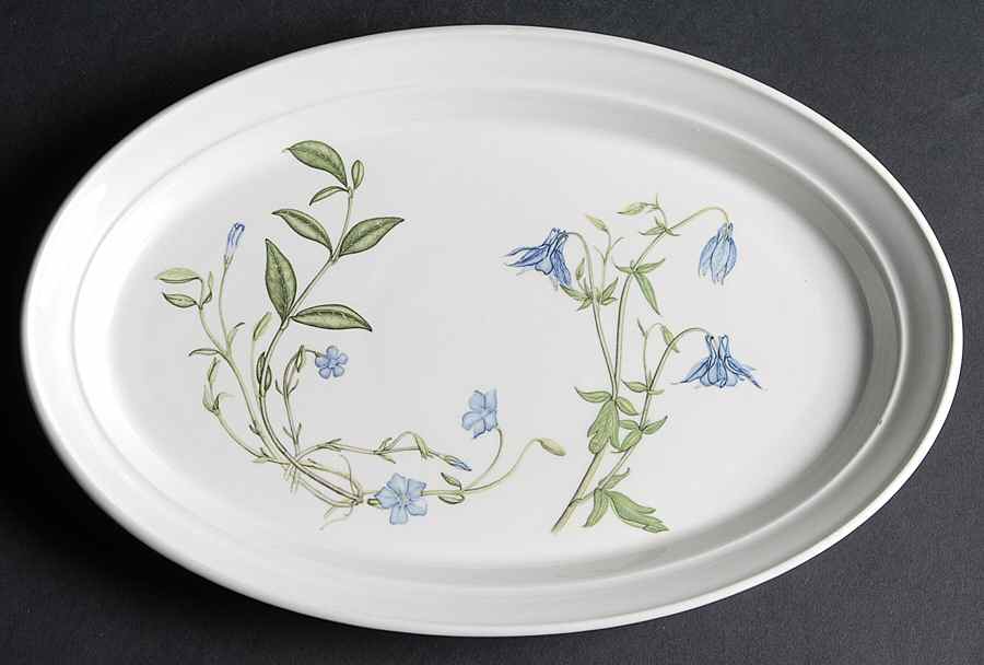 The Queen's Hidden Garden 12" Oval Steak Platter by Portmeirion-1