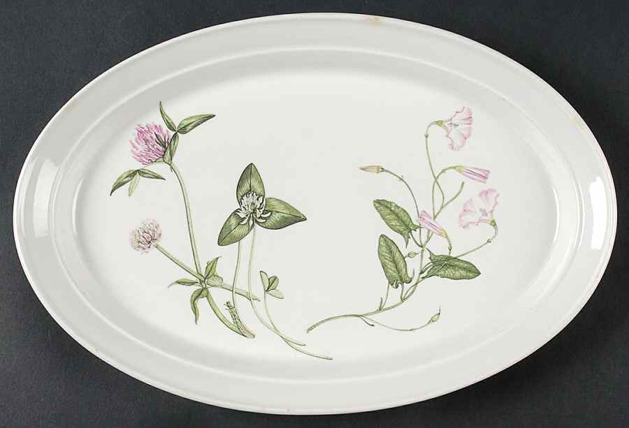 The Queen's Hidden Garden 12" Oval Steak Platter by Portmeirion-1