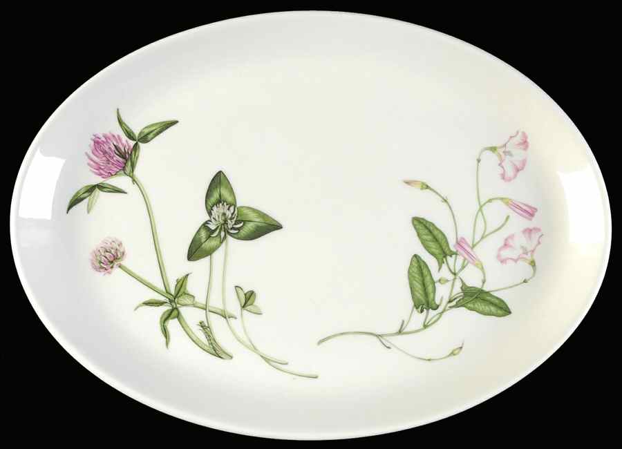 The Queen's Hidden Garden 12" Oval Steak Platter by Portmeirion-1