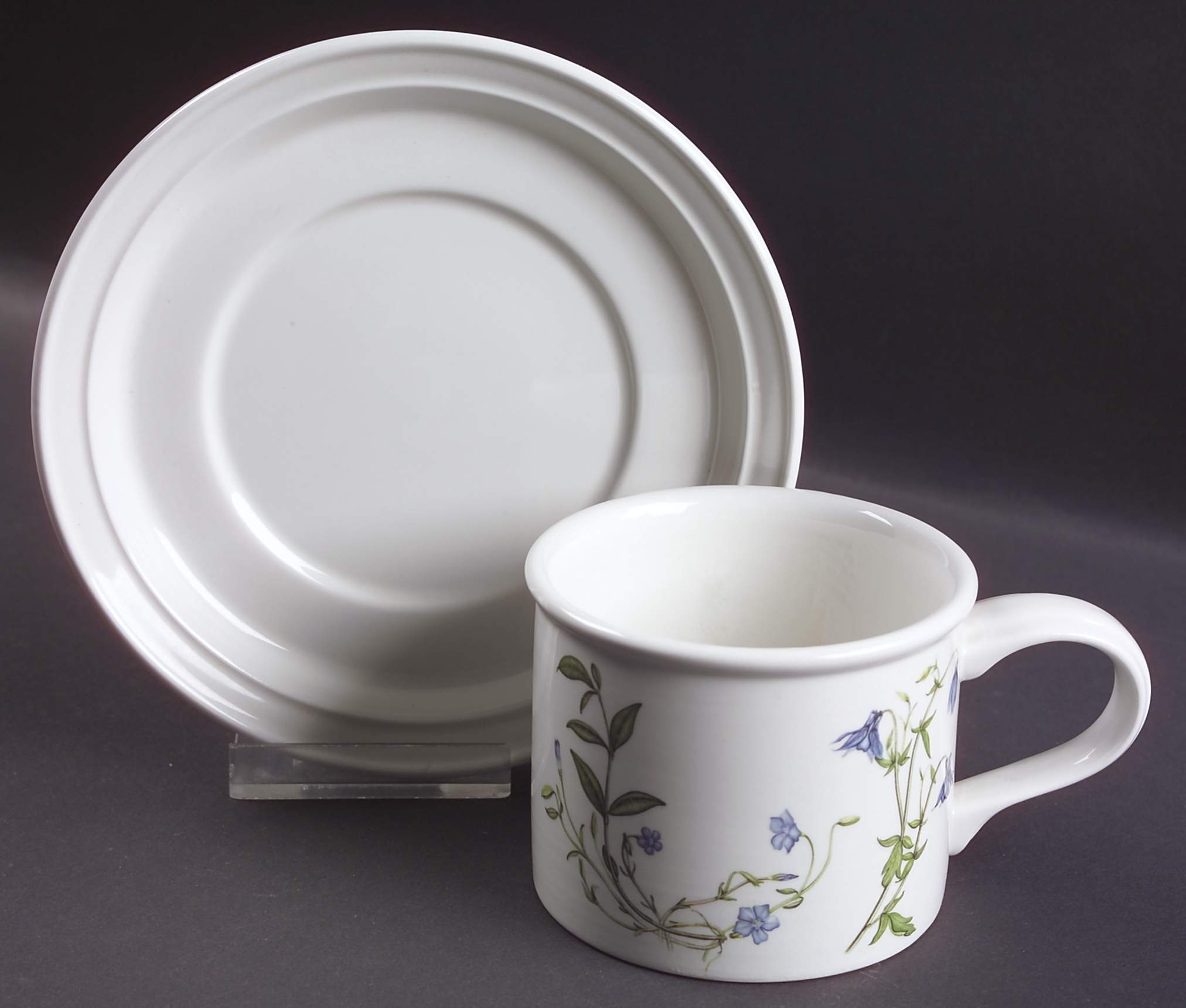 The Queen's Hidden Garden Drum Flat Cup & Saucer Set by Portmeirion-1