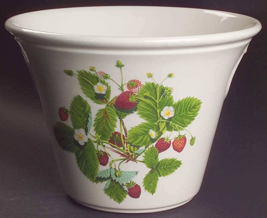 Summer Strawberries 7" Planter by Portmeirion-1