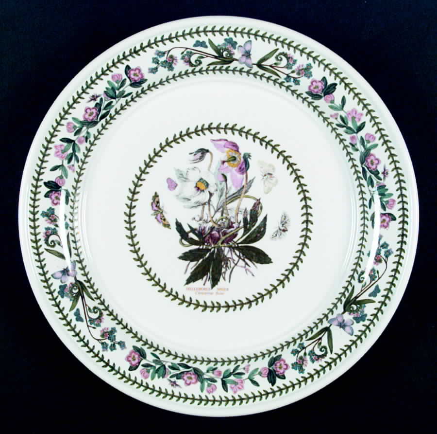 Variations Dinner Plate by Portmeirion-1
