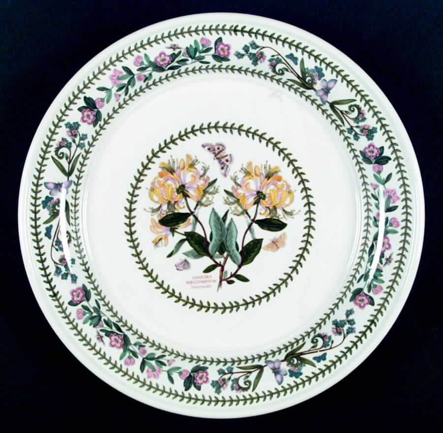 Variations Dinner Plate by Portmeirion-1