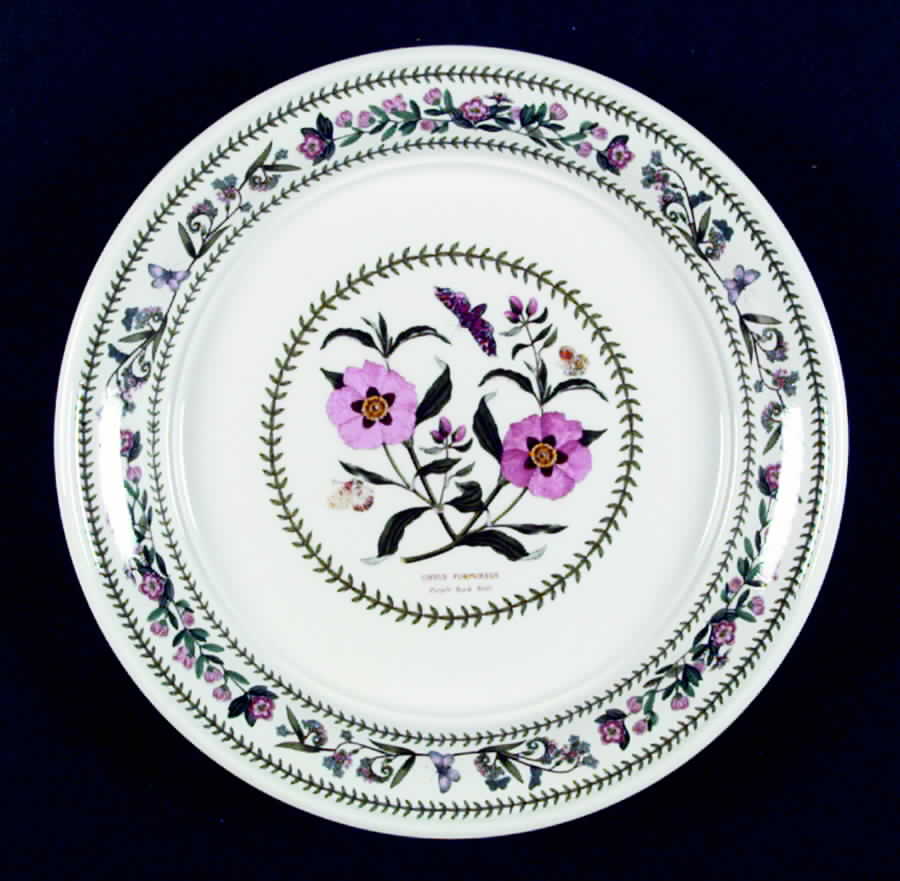 Variations Salad Plate by Portmeirion-1