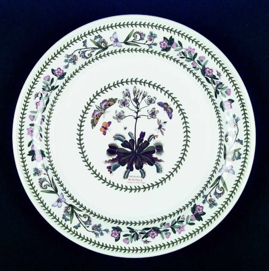 Variations Dinner Plate by Portmeirion-1