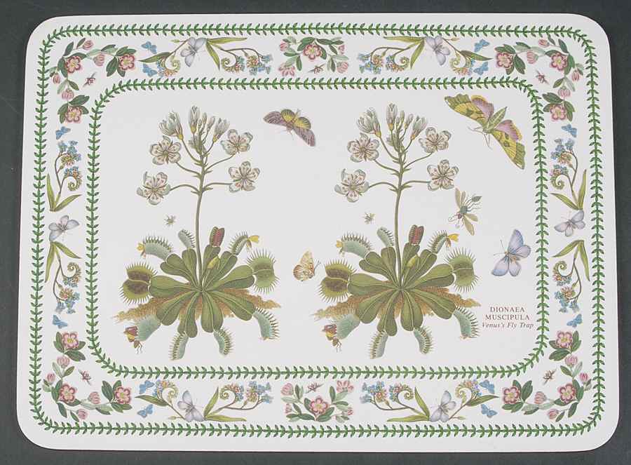 Variations Corkboard Placemat by Portmeirion-1