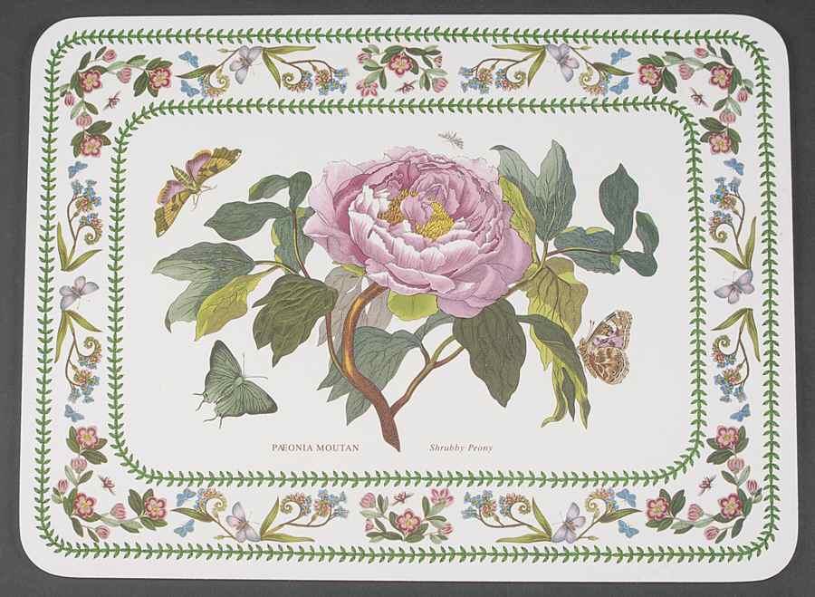 Variations Corkboard Placemat by Portmeirion-1