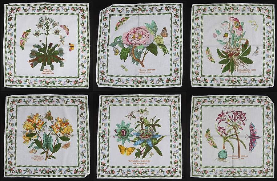 Variations Cloth Napkin - Set of 6 Motifs by Portmeirion-1