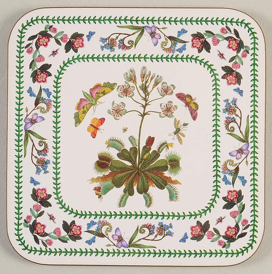 Variations Square Corkback Coaster by Portmeirion-1