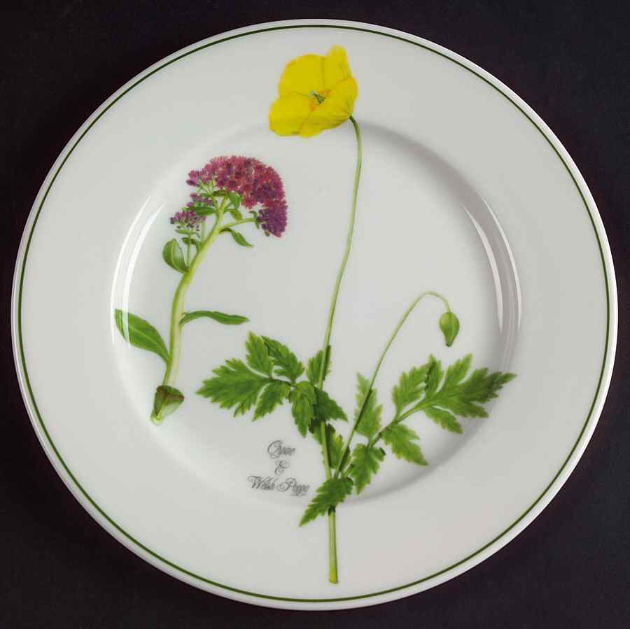 Welsh Wild Flowers Bread & Butter Plate by Portmeirion-1
