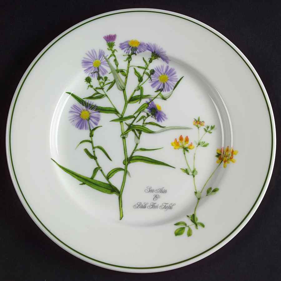 Welsh Wild Flowers Bread & Butter Plate by Portmeirion-1