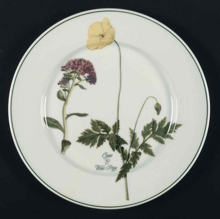 Welsh Wild Flowers Dinner Plate by Portmeirion-1