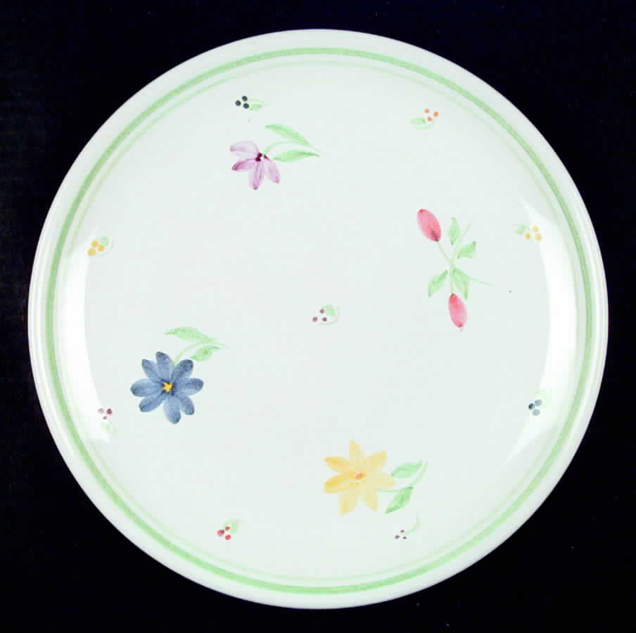 PTE1 Dinner Plate by Presenttense-1