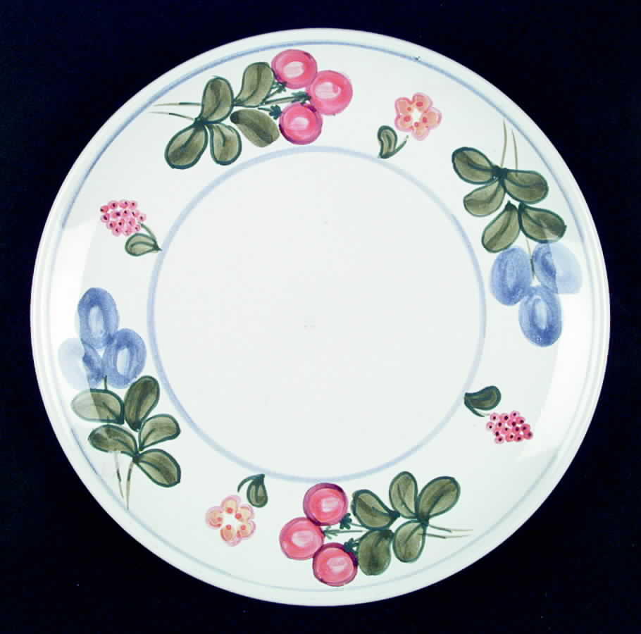 PTE5 Dinner Plate by Presenttense-1