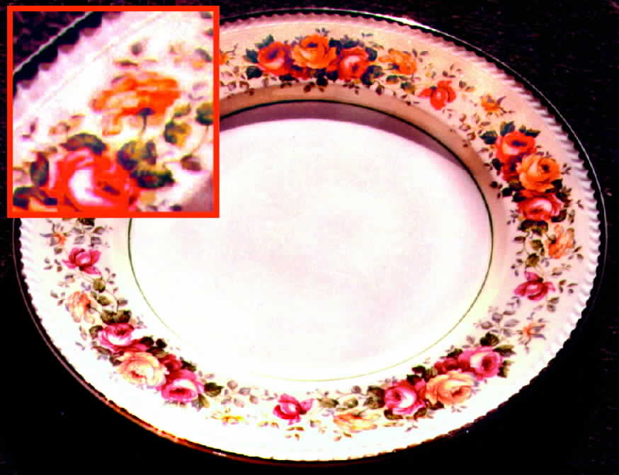 PTL1 Dinner Plate by Portland-1