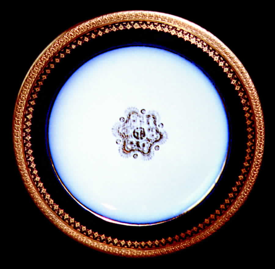 POY118 Dinner Plate by Jean Pouyat-1