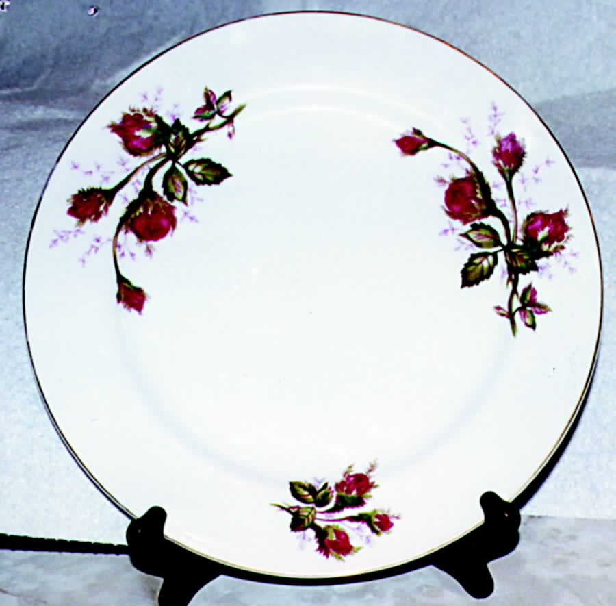 PCF2 Dinner Plate by Pacific China-1