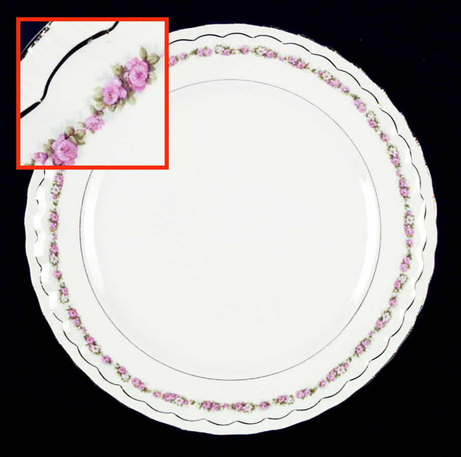 Beverly Dinner Plate by Pope Gosser-1