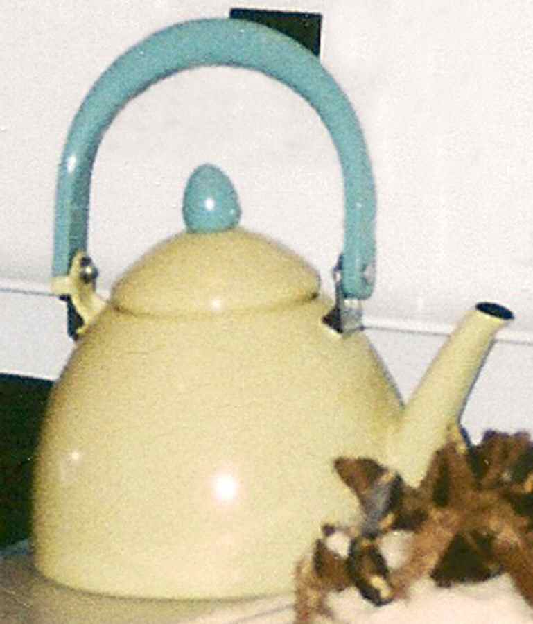 Terrace Buttercream (Yellow) Metal Kettle & Lid by Pfaltzgraff-1