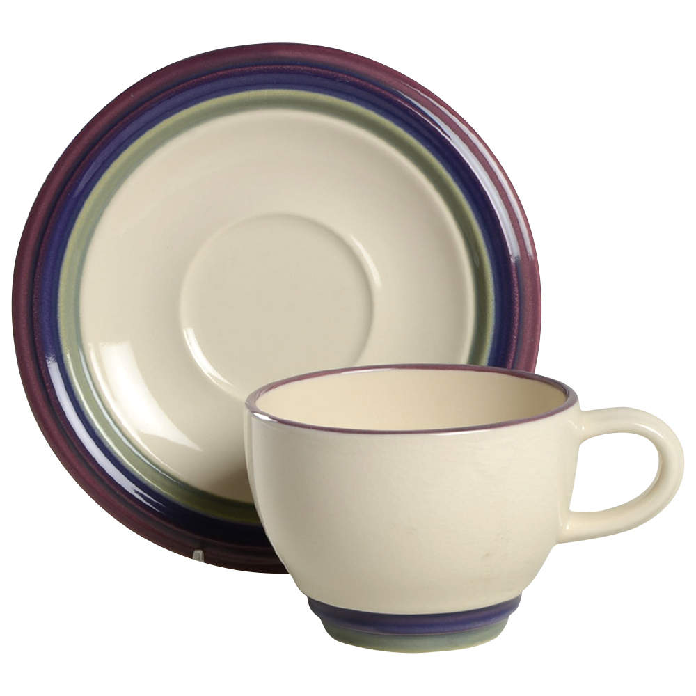 Valley View Flat Cup & Saucer Set by Pfaltzgraff-1