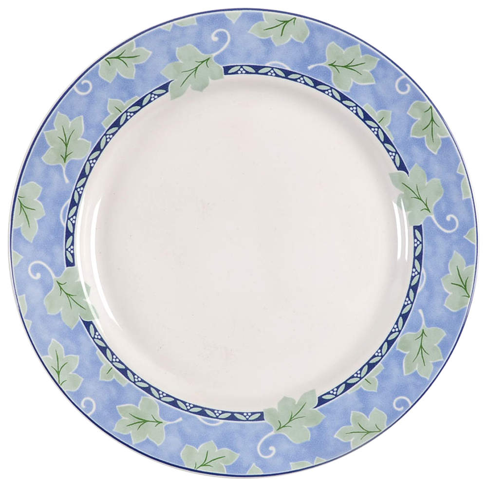 Blue Isle Salad Plate by Pfaltzgraff-1