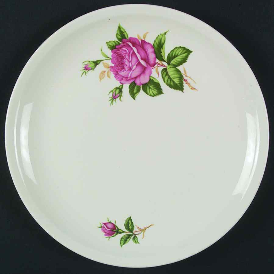 PCP101 Dinner Plate by Paden City-1
