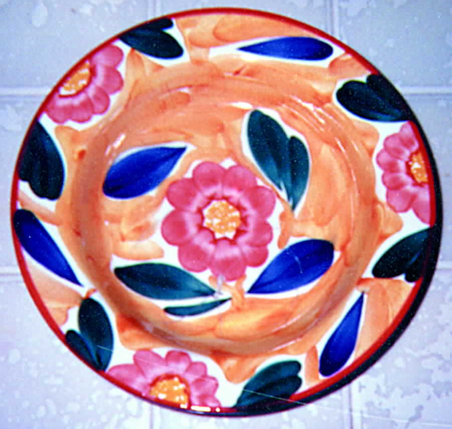 PER10 Dinner Plate by Pier 1-1