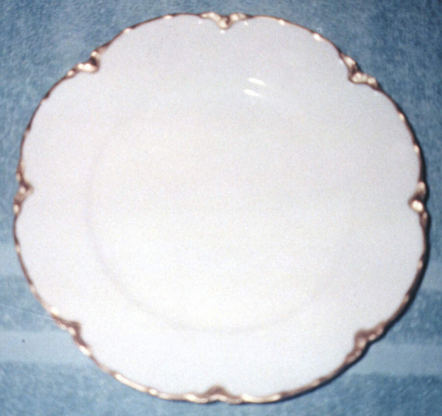 POP100 Dinner Plate by Pope Gosser-1