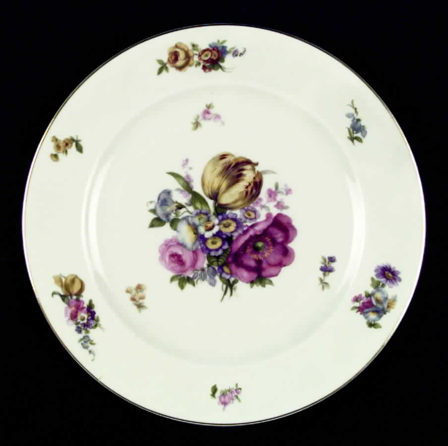 PIR39 Dinner Plate by Pirkenhammer-1