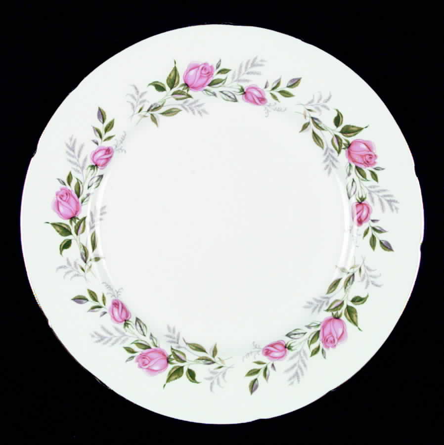 PAR22 Dinner Plate by Paragon-1