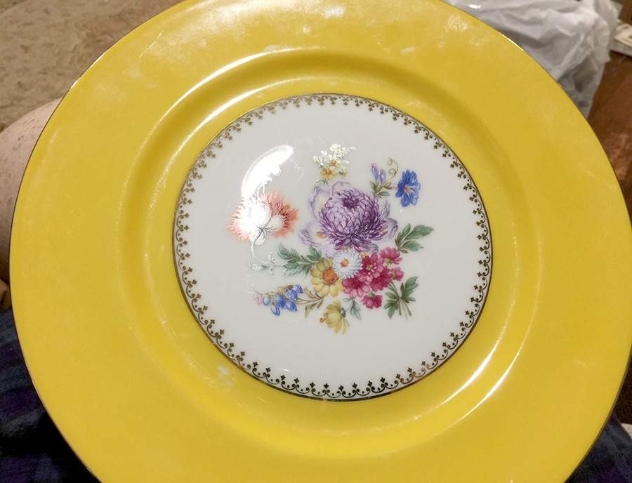 PFE33 Dinner Plate by Pfeiffer & Lowenstein-1