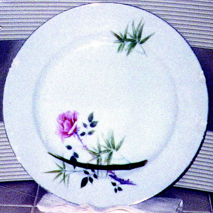 PLR2 Dinner Plate by Pearl China (Japan)-1