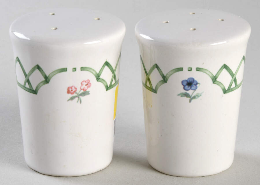 Garden Trellis Salt & Pepper Set by Pfaltzgraff-1