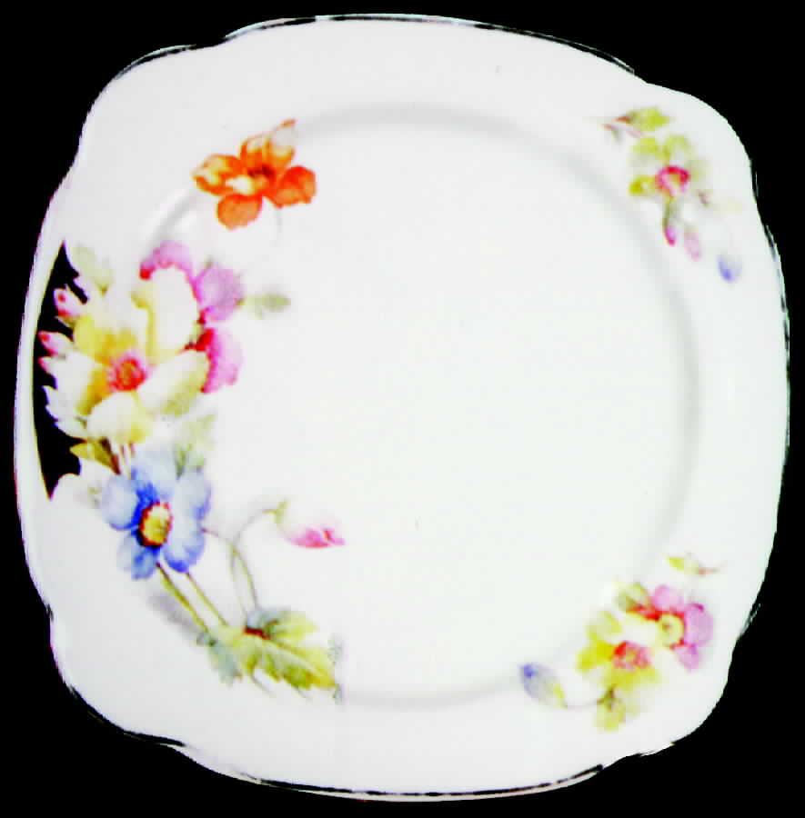 PCP83P Dinner Plate by Paden City-1