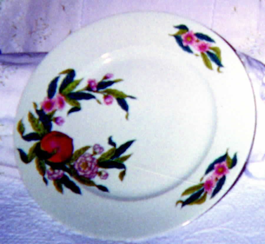 Abondance (Rim) Dinner Plate by Porcelaine De Paris-1