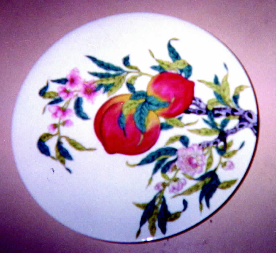 Abondance (Coupe) Dinner Plate by Porcelaine De Paris-1