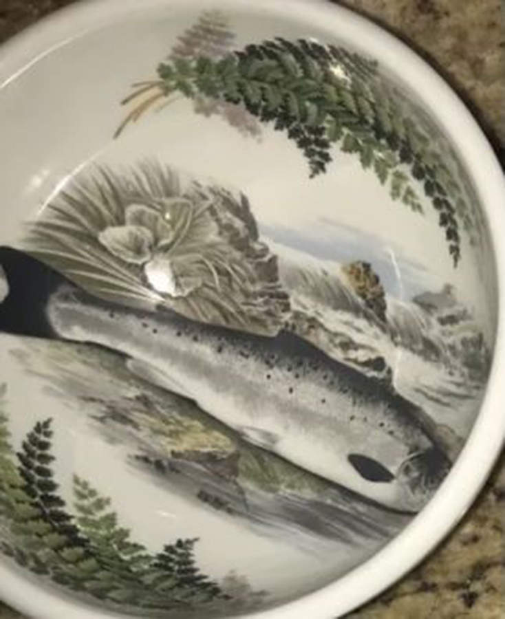 Compleat Angler Fern Individual Salad/Dessert/Fruit Bowl by Portmeirion-1