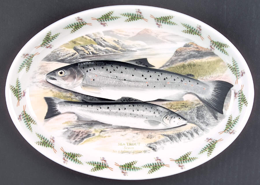 Compleat Angler Fern 10" Oval Steak Platter by Portmeirion-1