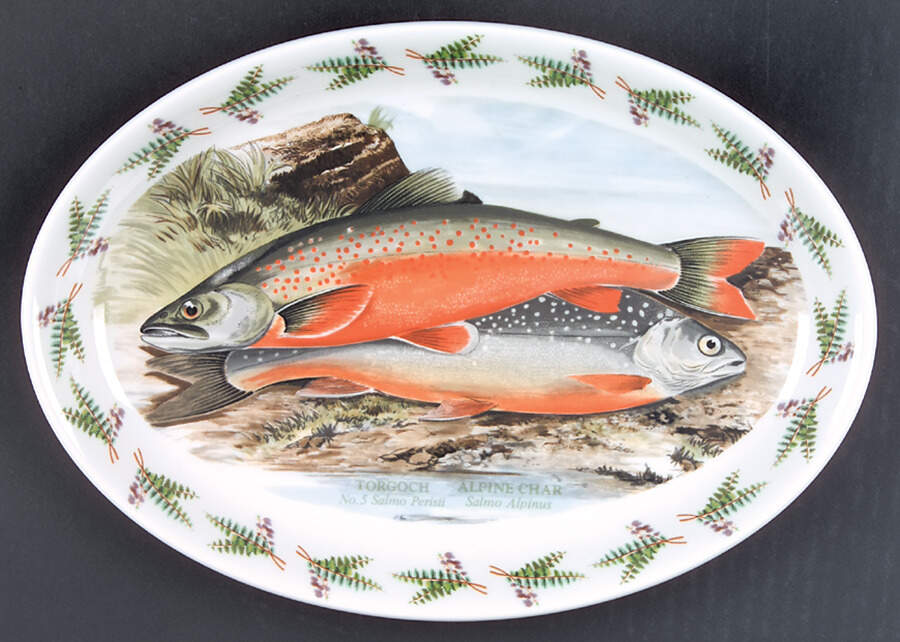 Compleat Angler Fern 10" Oval Steak Platter by Portmeirion-1